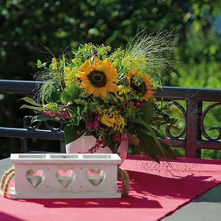 Les Belles, Haus Cecile, Fw Attractive, Whg 4 Zingst